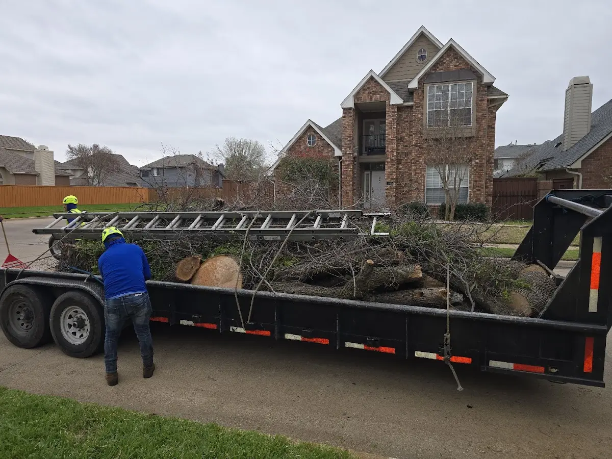 Expert Crown Reduction with proper safety equipment in Dunlap